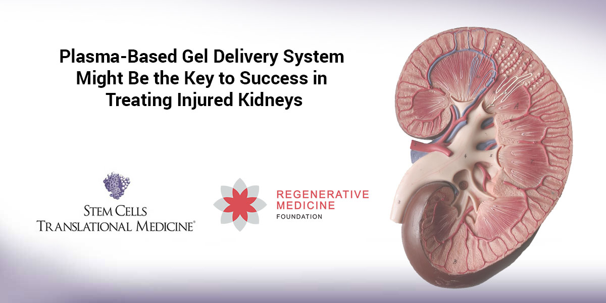 Plasma-Based Gel Delivery System Might Be the Key to Success in Treating Injured Kidneys